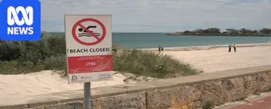 Another Perth beach closed as more whale remains found