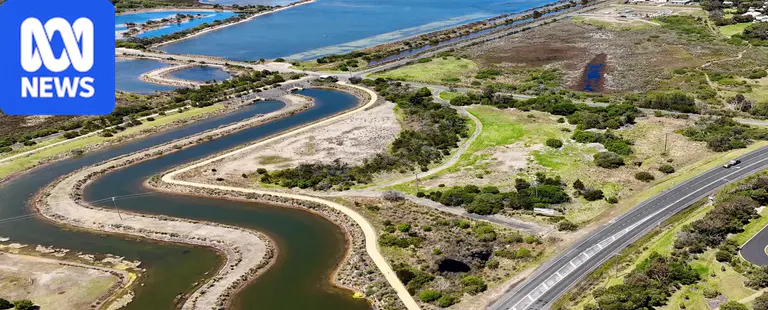 Council moves to block Coles store near protected wetlands