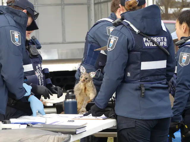 Kyneton man fined over hundreds of dead and frozen animals