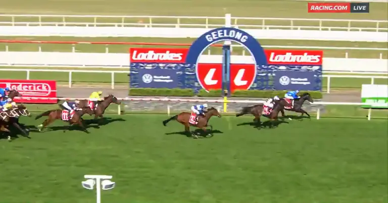 King Charles’ former horse gallops into Melbourne Cup with Geelong Cup win