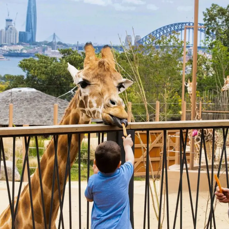 Five Affordable Family Days Out