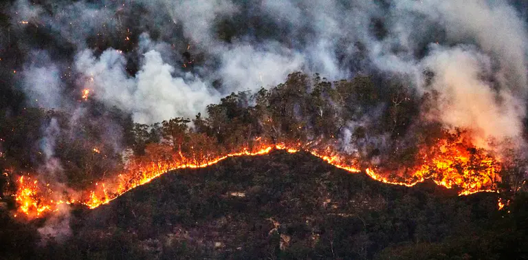 Australia urgently needs a national bushfire database. Here’s what it could look like