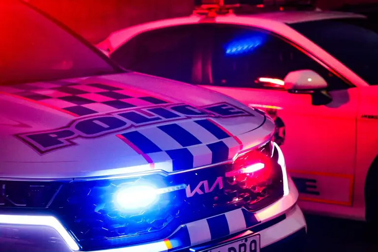 Shooting incident, Loganholme