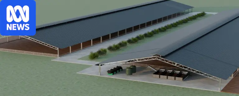 Automated feedlot proposal draws community ire in Victoria's south-east