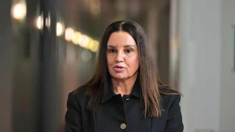 'Lighten up': Hanson to senator over vulgar cartoon