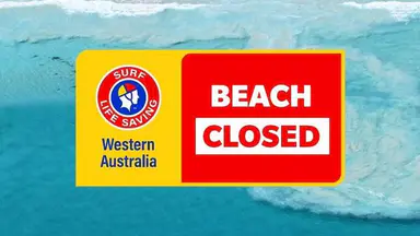 Sorrento Beach closed after a whale carcass was spotted on Sunday morning, shark advice issued