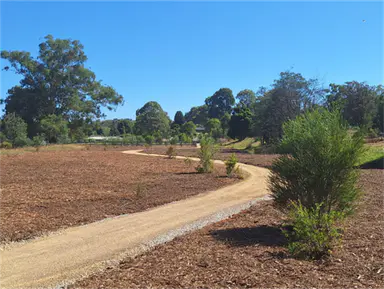 Local park projects win Pick My Park funding