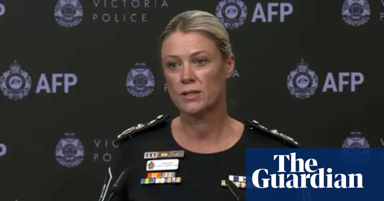 AFP charging almost one person a week for targeting politicians, says commissioner - video