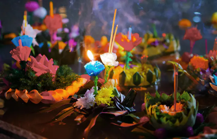 A festival of floating lotuses is coming to Canberra