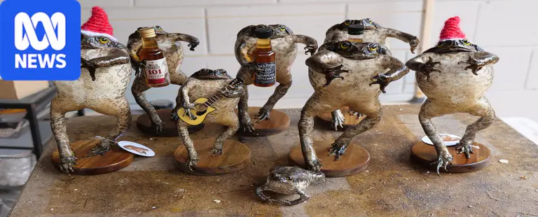 다윈의 회계사, 세금 대신 cane toad 박제 사업으로 전환