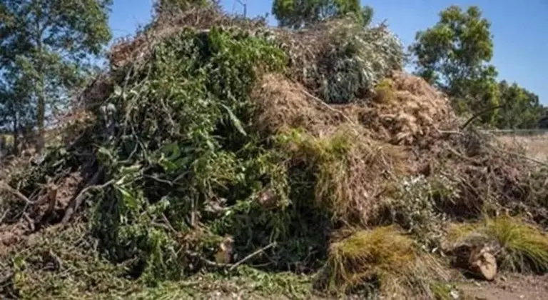 Transfer Station – Green Waste Burn Off