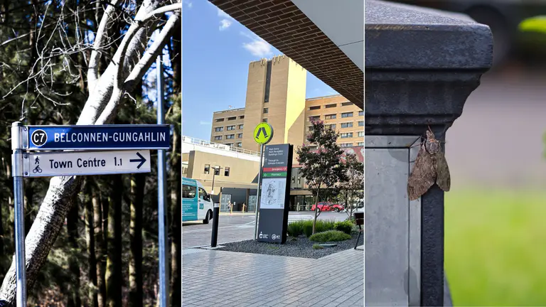 测验：你了解堪培拉医院 (Canberra Hospital) 的紧急代码吗？还有 9 道其他问题