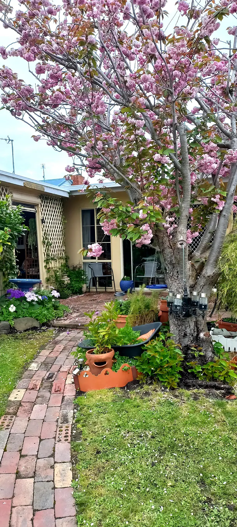 Coastal hidden gems revealed for Inverloch Open Gardens
