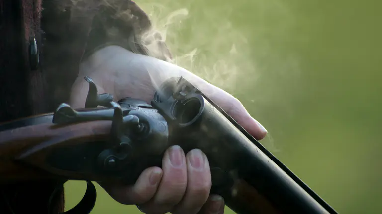 NSW gun buyback: how we got here, and what happens on November 2