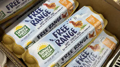 Consumer watchdog cracks down on alleged egg cartel